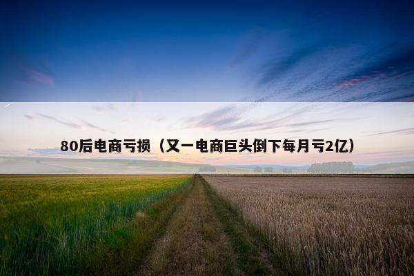 80后电商亏损（又一电商巨头倒下每月亏2亿）