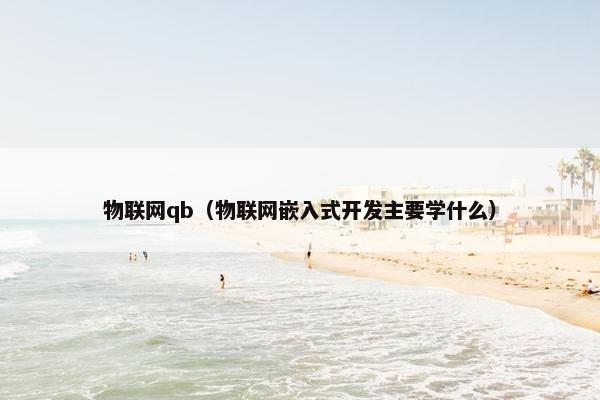 物联网qb（物联网嵌入式开发主要学什么）