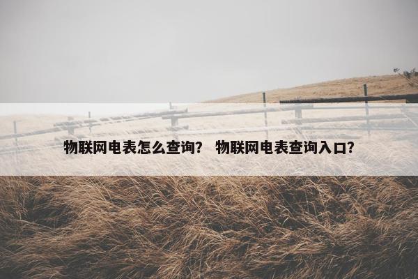 物联网电表怎么查询？ 物联网电表查询入口？