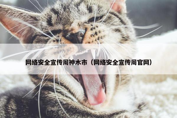 网络安全宣传周神木市（网络安全宣传周官网）