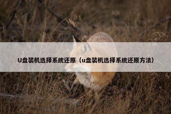U盘装机选择系统还原（u盘装机选择系统还原方法）