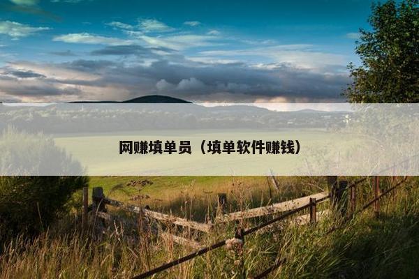 网赚填单员（填单软件赚钱）