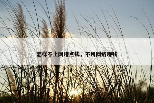 怎样不上网赚点钱，不用网络赚钱