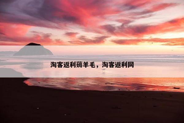 淘客返利薅羊毛，淘客返利网