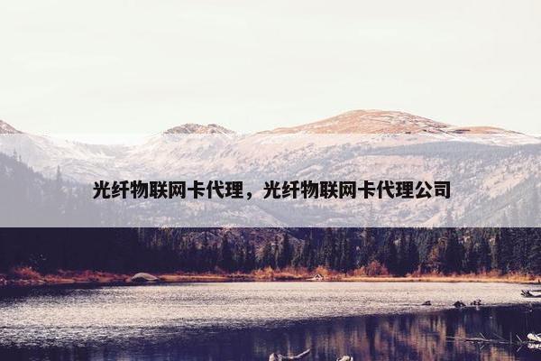 光纤物联网卡代理，光纤物联网卡代理公司