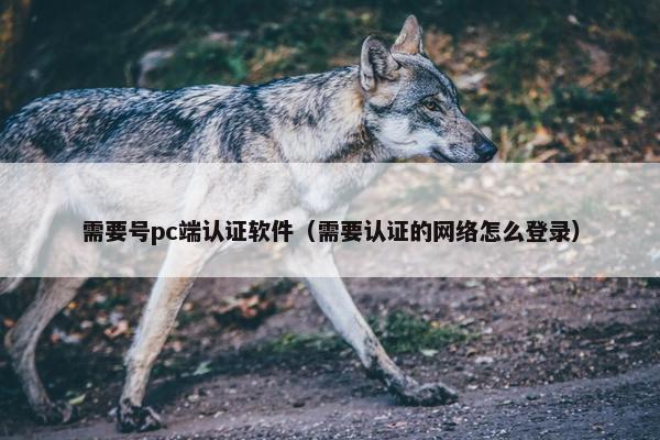 需要号pc端认证软件（需要认证的网络怎么登录）