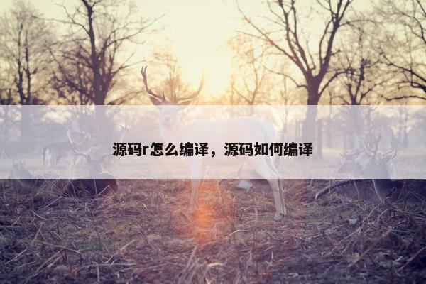 源码r怎么编译，源码如何编译