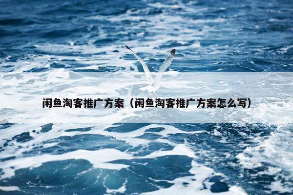 闲鱼淘客推广方案（闲鱼淘客推广方案怎么写）