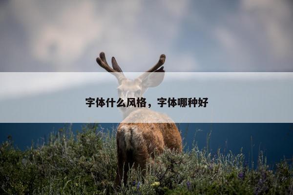 字体什么风格，字体哪种好