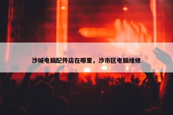 沙城电脑配件店在哪里，沙市区电脑维修