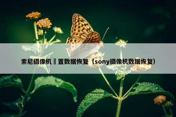 索尼摄像机內置数据恢复（sony摄像机数据恢复）