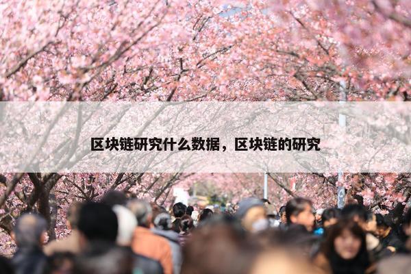 区块链研究什么数据，区块链的研究