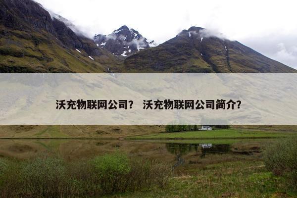 沃充物联网公司？ 沃充物联网公司简介？