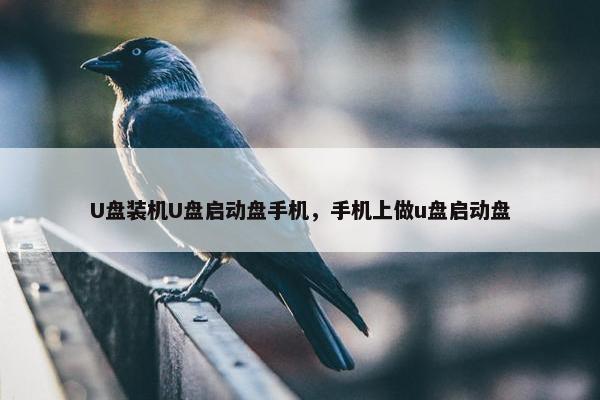 U盘装机U盘启动盘手机，手机上做u盘启动盘