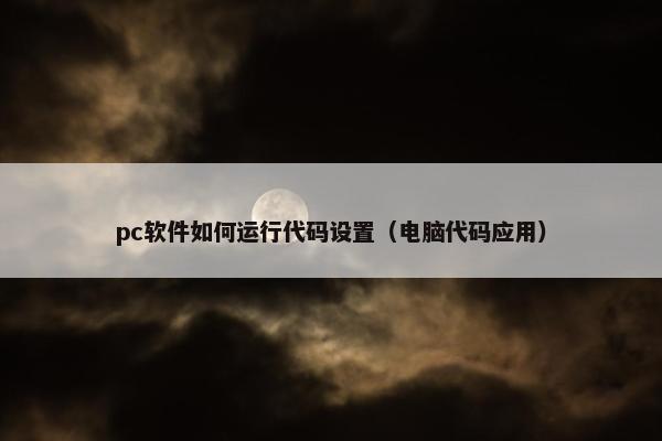 pc软件如何运行代码设置（电脑代码应用）