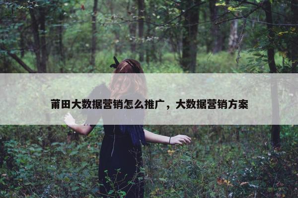 莆田大数据营销怎么推广，大数据营销方案