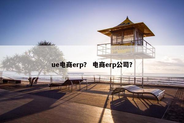 ue电商erp？ 电商erp公司？