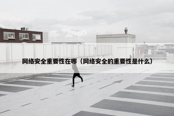 网络安全重要性在哪（网络安全的重要性是什么）