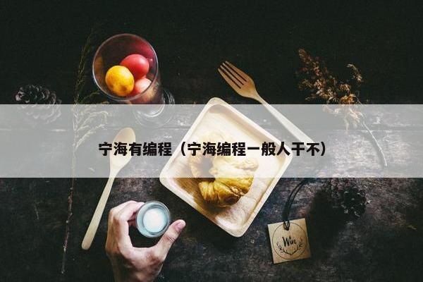 宁海有编程（宁海编程一般人干不）