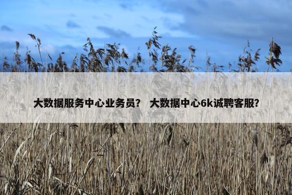 大数据服务中心业务员？ 大数据中心6k诚聘客服？