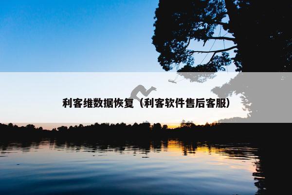 利客维数据恢复（利客软件售后客服）