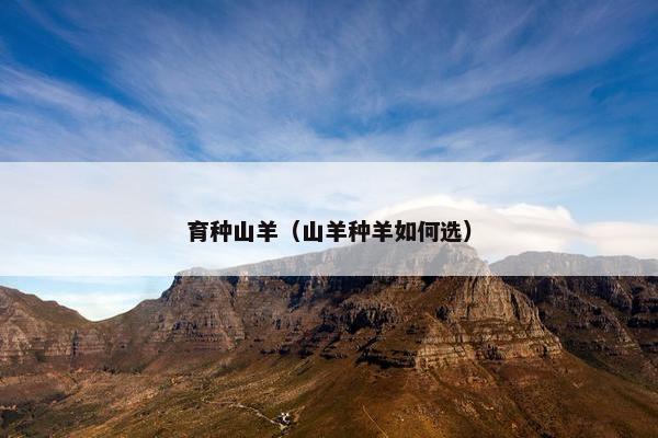 育种山羊（山羊种羊如何选）