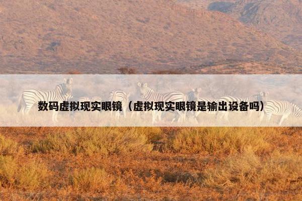 数码虚拟现实眼镜（虚拟现实眼镜是输出设备吗）