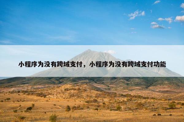 小程序为没有跨域支付，小程序为没有跨域支付功能