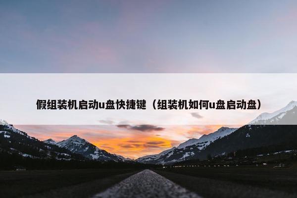 假组装机启动u盘快捷键（组装机如何u盘启动盘）
