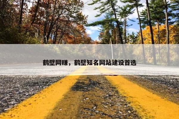 鹤壁网赚，鹤壁知名网站建设首选