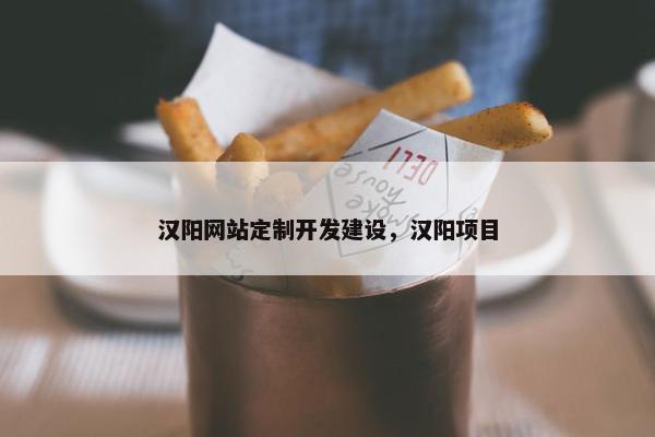 汉阳网站定制开发建设，汉阳项目