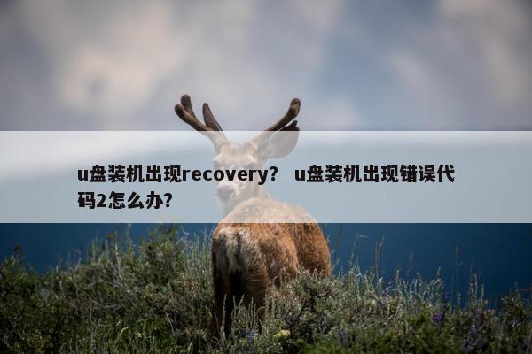 u盘装机出现recovery？ u盘装机出现错误代码2怎么办？