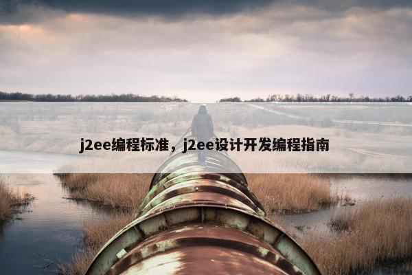j2ee编程标准，j2ee设计开发编程指南