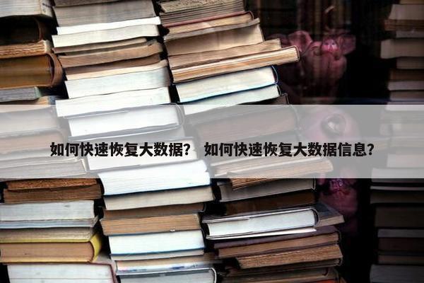 如何快速恢复大数据？ 如何快速恢复大数据信息？