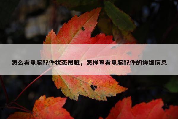 怎么看电脑配件状态图解，怎样查看电脑配件的详细信息