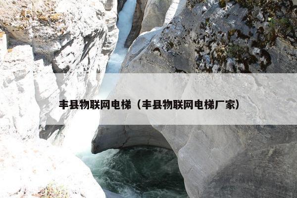 丰县物联网电梯（丰县物联网电梯厂家）