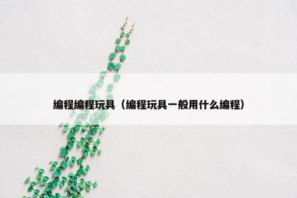 编程编程玩具（编程玩具一般用什么编程）
