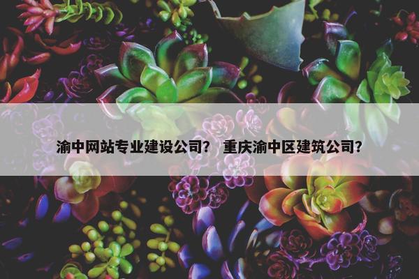 渝中网站专业建设公司？ 重庆渝中区建筑公司？