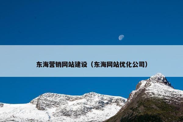 东海营销网站建设（东海网站优化公司）