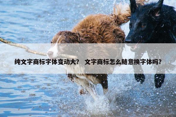 纯文字商标字体变动大？ 文字商标怎么随意换字体吗？
