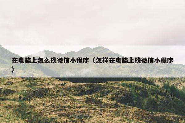 在电脑上怎么找微信小程序（怎样在电脑上找微信小程序）