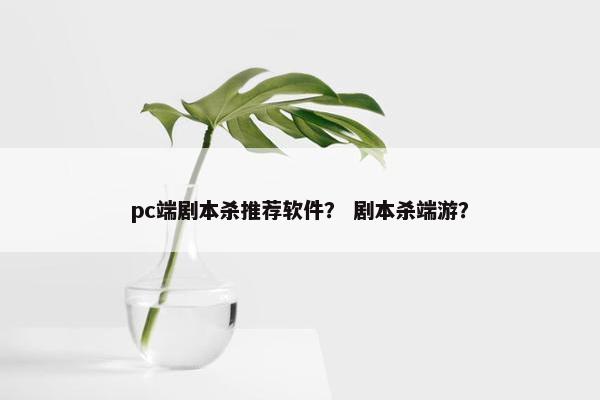 pc端剧本杀推荐软件？ 剧本杀端游？