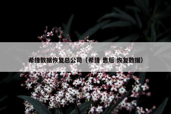 希捷数据恢复总公司（希捷 售后 恢复数据）