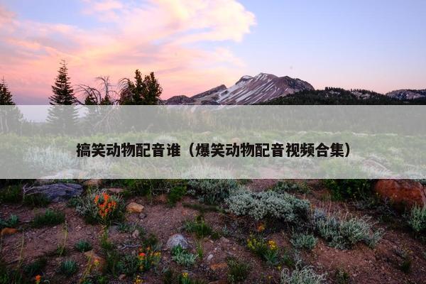 搞笑动物配音谁（爆笑动物配音视频合集）