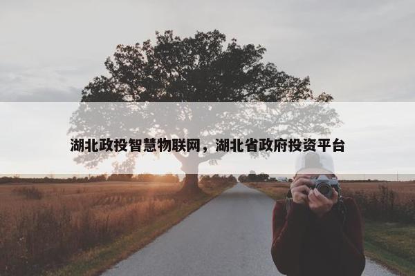 湖北政投智慧物联网，湖北省政府投资平台