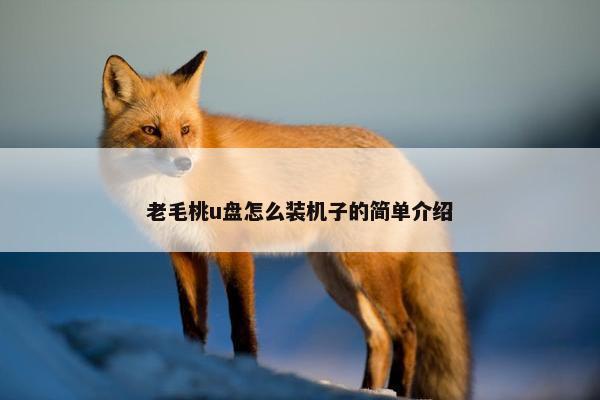 老毛桃u盘怎么装机子的简单介绍