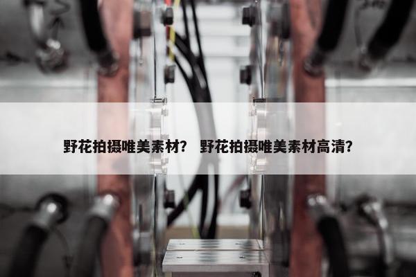 野花拍摄唯美素材？ 野花拍摄唯美素材高清？