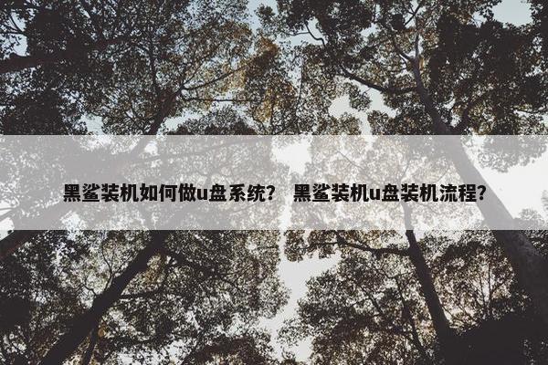 黑鲨装机如何做u盘系统？ 黑鲨装机u盘装机流程？