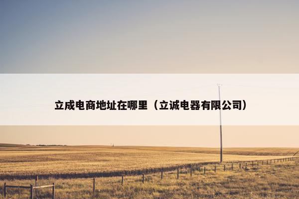 立成电商地址在哪里（立诚电器有限公司）