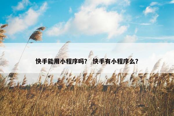 快手能用小程序吗？ 快手有小程序么？